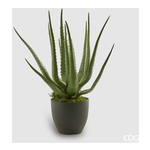 Edg Vaso Aloe H.55 Green 231597.70