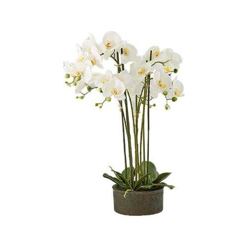 Pianta artificiale Vaso Orchidea 6 Steli White 213684,10