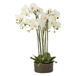 Edg Vaso Orchidea 6 Steli White 213684.10