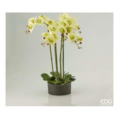 Pianta artificiale Orchidea 6 Steli Lt.Green 213684,71