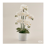Edg Vaso Orchidea 5 Steli White 214268.10