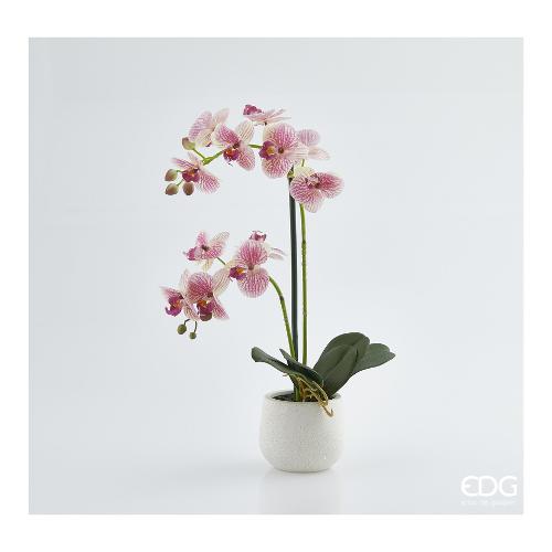 Edg Pianta artificiale Orchidea green pink (53cm) 214735 75