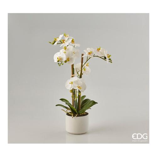 Edg Pianta artificiale Vaso orchidea white (39cm) 214027 17
