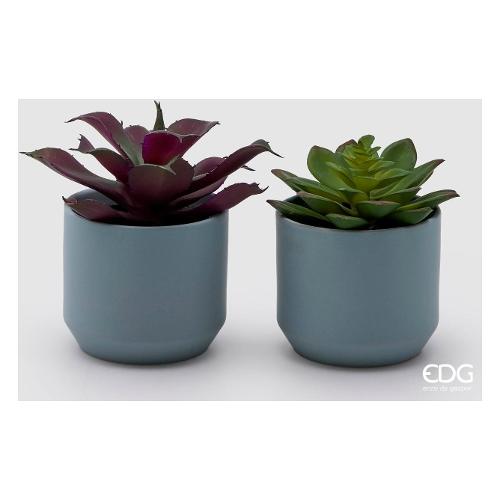Edg Pianta artificiale Cactus succulentes azure assortito 232948 82 (13 cm)