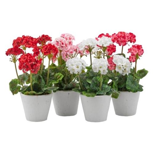 Edg Pianta artificiale Geranei assortito 802437 95