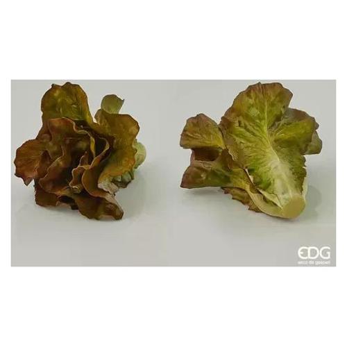 Edg Lattuga Cespo (18x15cm) Verde 257233 86
