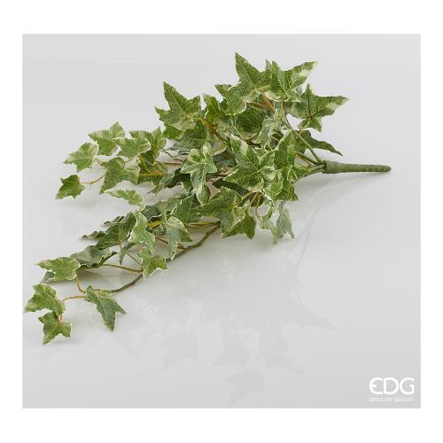 Edg Mazzetto Edera Cadente Green White 231129 72
