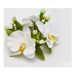 Edg Corona Decorativa Orchidea D12 210045.12