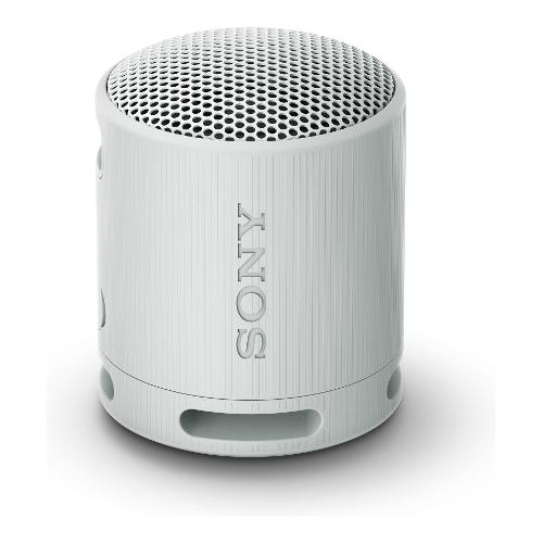 Sony Cassa wireless Compact Grigio 5W SRSXB100H CE7