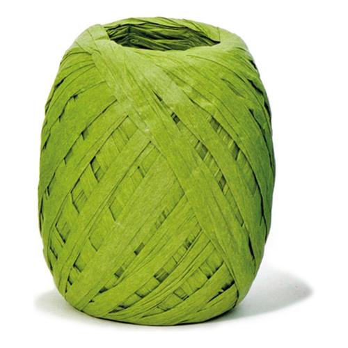 Star Nastro regalo CHRISTMAS Ovina Verde 1cm x 20m 1 pz 22074 2602