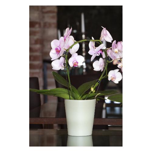 Vaso per orchidee 712 14VR AURORA verde 14 x 14 cm 712 14VR