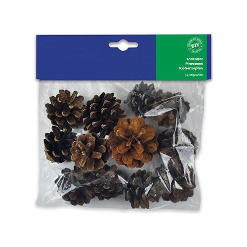 Cwr Set 12 Pigne 12631