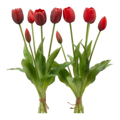 Edg Mazzetto Tulipano Red S 214959 40