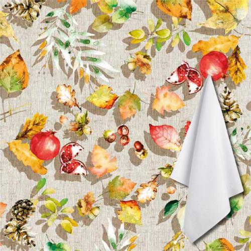 Tessitura di Arconate AUTUNNO Strofinaccio TA 0040 (70x50cm)