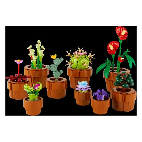 LEGO Piantine ( 758 pz ) BOTANICALS 18a+ 10329