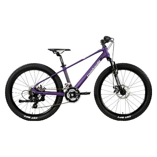 Cicli Lombardo Mountain Bike alluminio ( 21 vel ) 24" BRERA Violet e Grey DY2401 4133