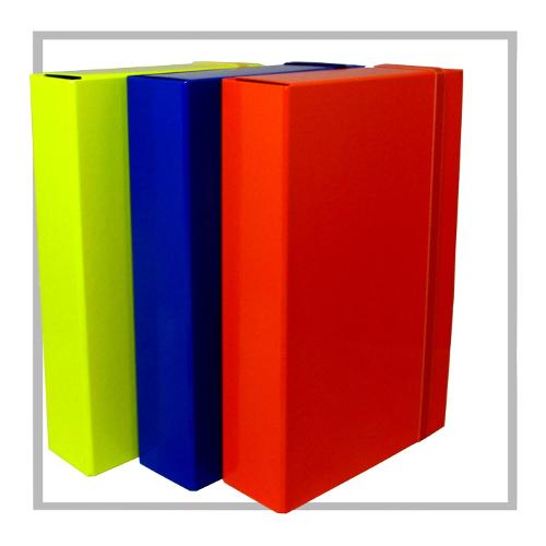 Cardea Cartella progetti con elastico CROMA Assortito (26x8x34 cm) LP8E