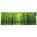 Canvass 50x150 Green Forest W1153