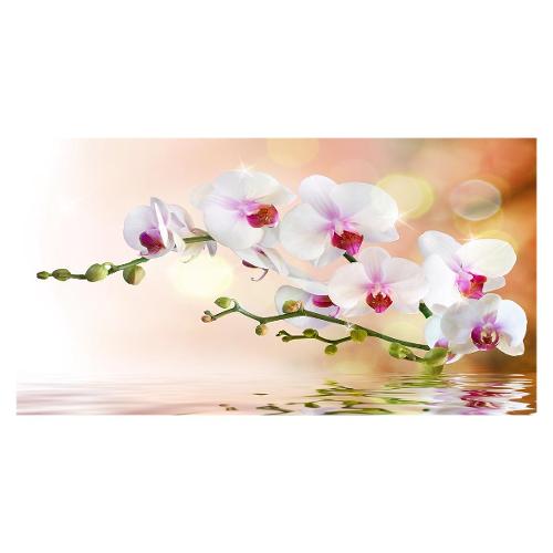 Dozza ORCHID Stampa su tela (50x100cm) S21BE00154