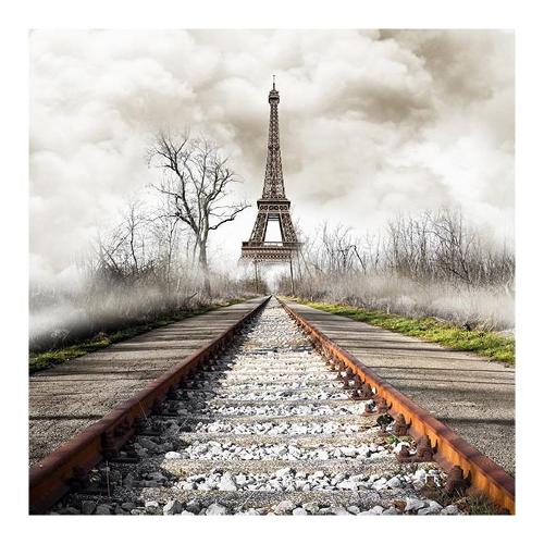 Dozza PARIGI Stampa su tela (30x30cm) S217500116