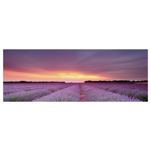 Dozza LAVANDA Stampa su tela (50x150cm) S58W1152