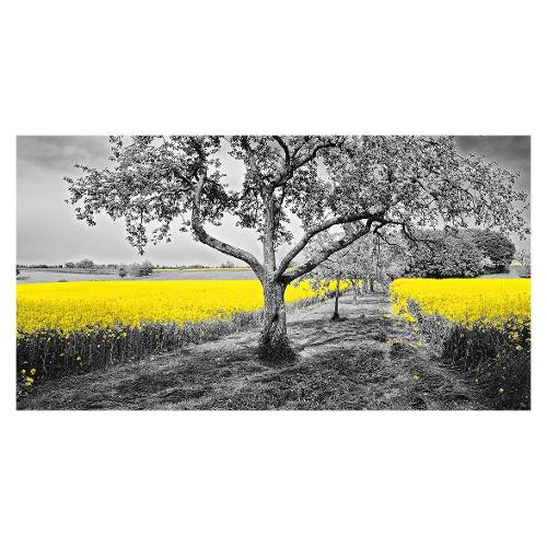 Dozza CANOLA Stampa su tela (70x140cm) S21BF000AP