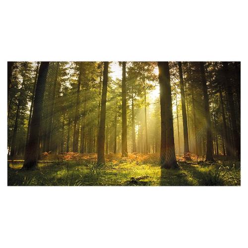 Dozza FOREST Stampa su tela (70x140cm) S58W1161