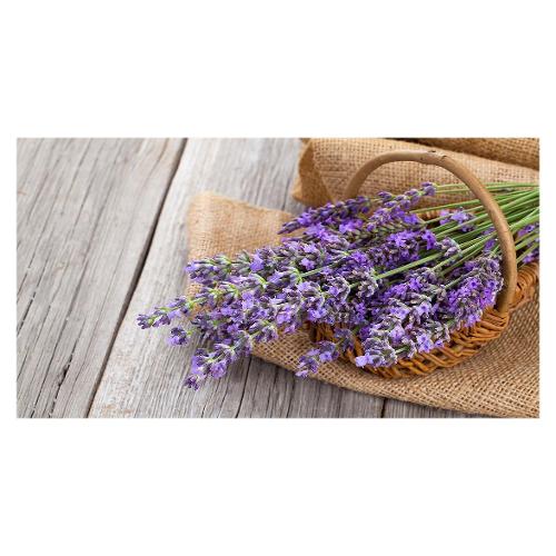 Dozza LAVANDA Stampa su tela (50x100cm) S21BE00193