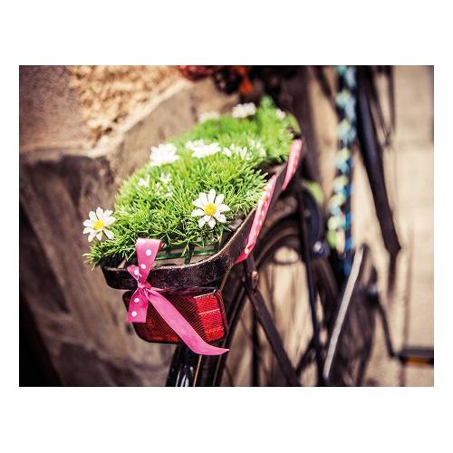 Dozza HIPSTER BIKE Stampa su tela (90x120cm) S2112000BH