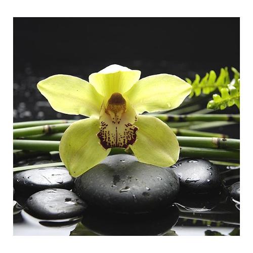 Dozza WHITE ORCHID Stampa su tela Yellow (30x30cm) S217500035