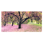 Canvass 50x100 Cherry Trees 5HBE