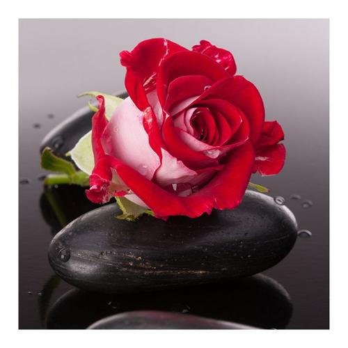 Dozza STONE AND ROSE Stampa su tela (50x50cm) S5W7860152