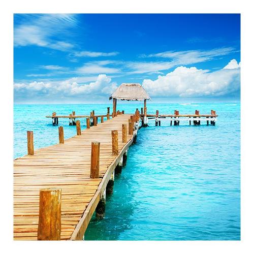 Dozza TROPIC PARADISE Stampa su tela (50x50cm) S5V4D678
