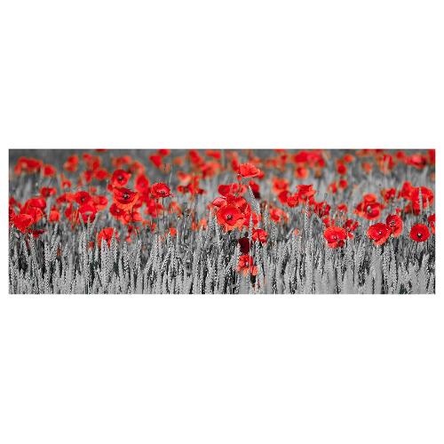 Dozza POPPIES Stampa su tela (30x90cm) S5V4L6AT