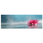 Canvass 30x90 Water Lily T0206
