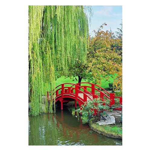 Dozza JAPANESE GARDEN Stampa su tela (60x90cm) S9GAU0214
