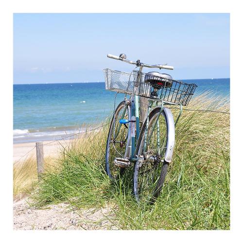 Dozza BICI Stampa su tela (30x30cm) S5T9875