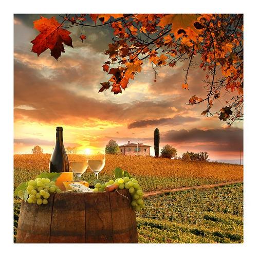 Dozza WHITE VINE Stampa su tela (50x50cm) S9G780195