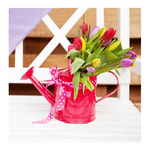 Dozza WATERING CAN Stampa su tela (30x30cm) S9F9Z75