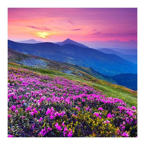 Dozza MOUNTAIN LAND Stampa su tela (50x50cm) S9G780201