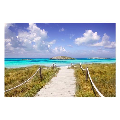 Dozza ILLETAS Stampa su tela (60x90cm) S5T5FAU