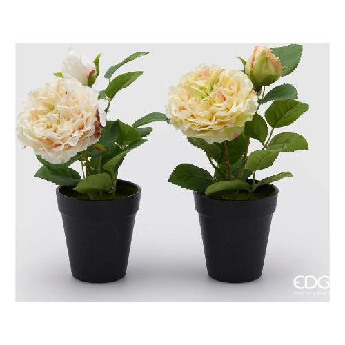 Edg Pianta artificiale Rosa yell white (25cm) assortito 215990 27