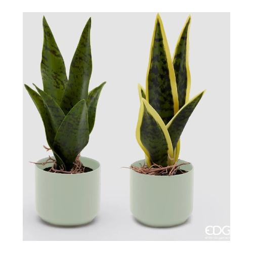 Edg Pianta artificiale Sanseveria aqua assortito 232947 84 (9x25 cm)