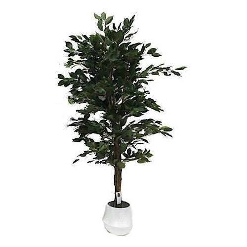 Dhg D.O.O. Pianta artificiale Ficus benjamin Green 58937 (150 cm)