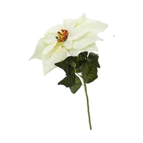 Dhg D.O.O. Stelo natalizio Poinsettia velluto Crema 68301