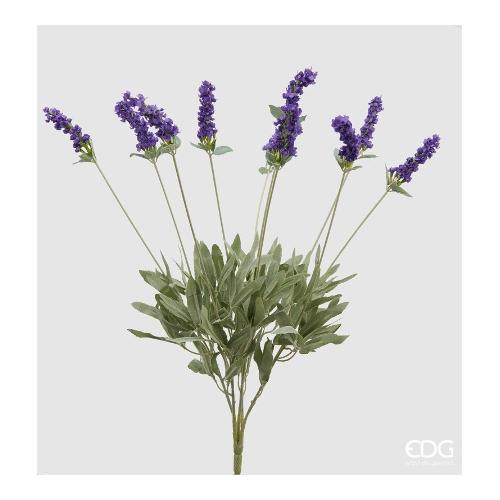Edg Stelo Lavanda 21105 61