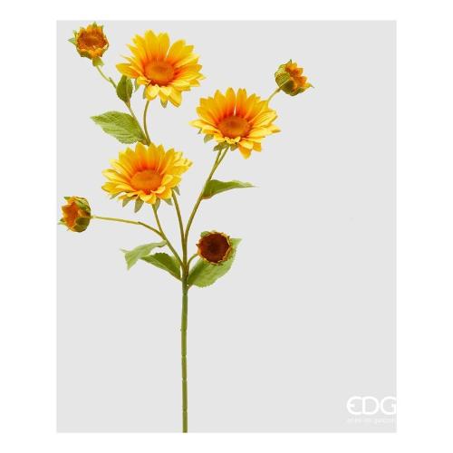 Edg Papavero H 60 Ass 215527 38