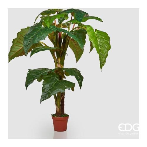 Edg Pianta artificiale Alocasia 231388 70 (200 cm)
