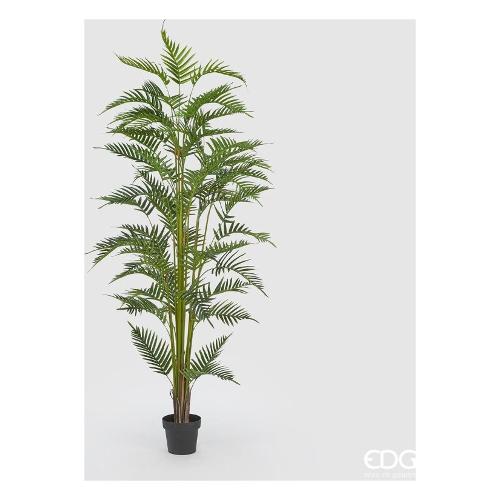 Edg Pianta artificiale Areca green vaso (200cm) 231640 700