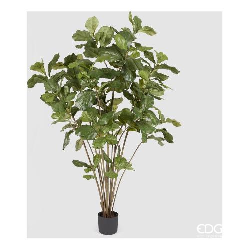 Edg Pianta artificiale Ficus lyrata green vaso 230960 70 (180 cm)